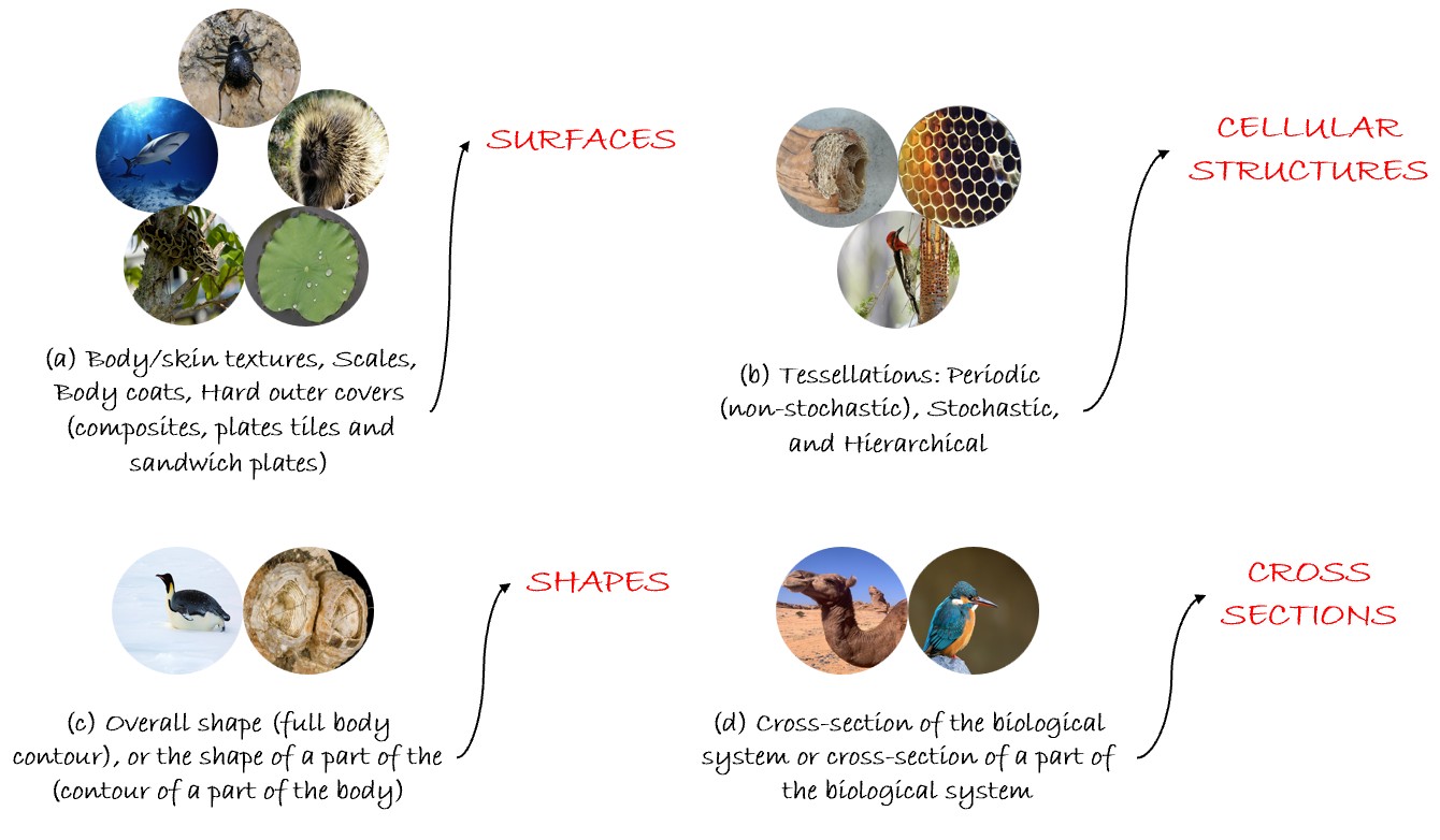 classification