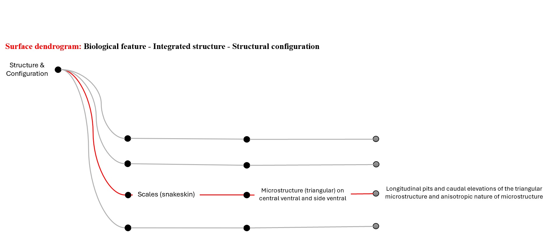 Surface Dendrogram 2