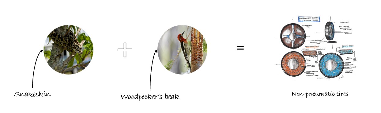 combination of features from domains