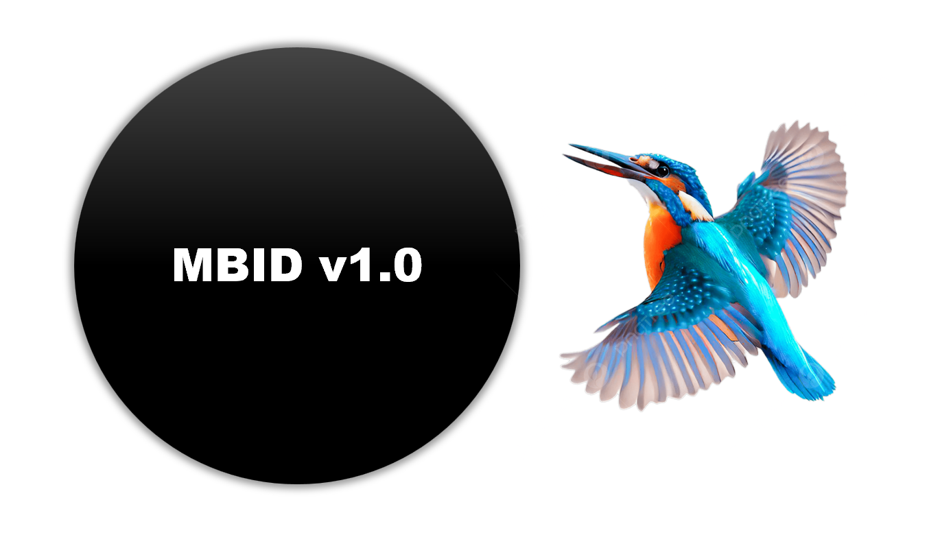 MBID Concept Overview