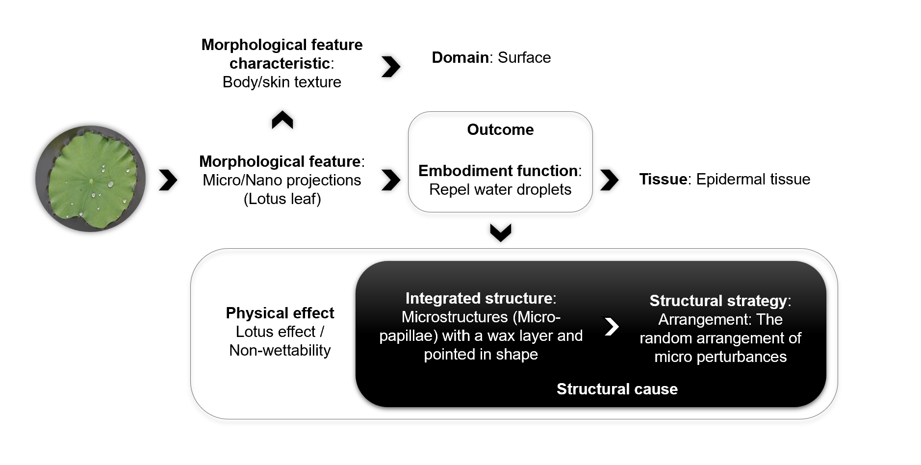Explanation 3 of method