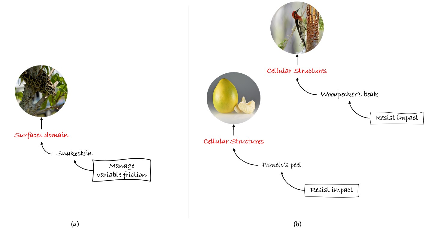 selection through metalevel design parameters